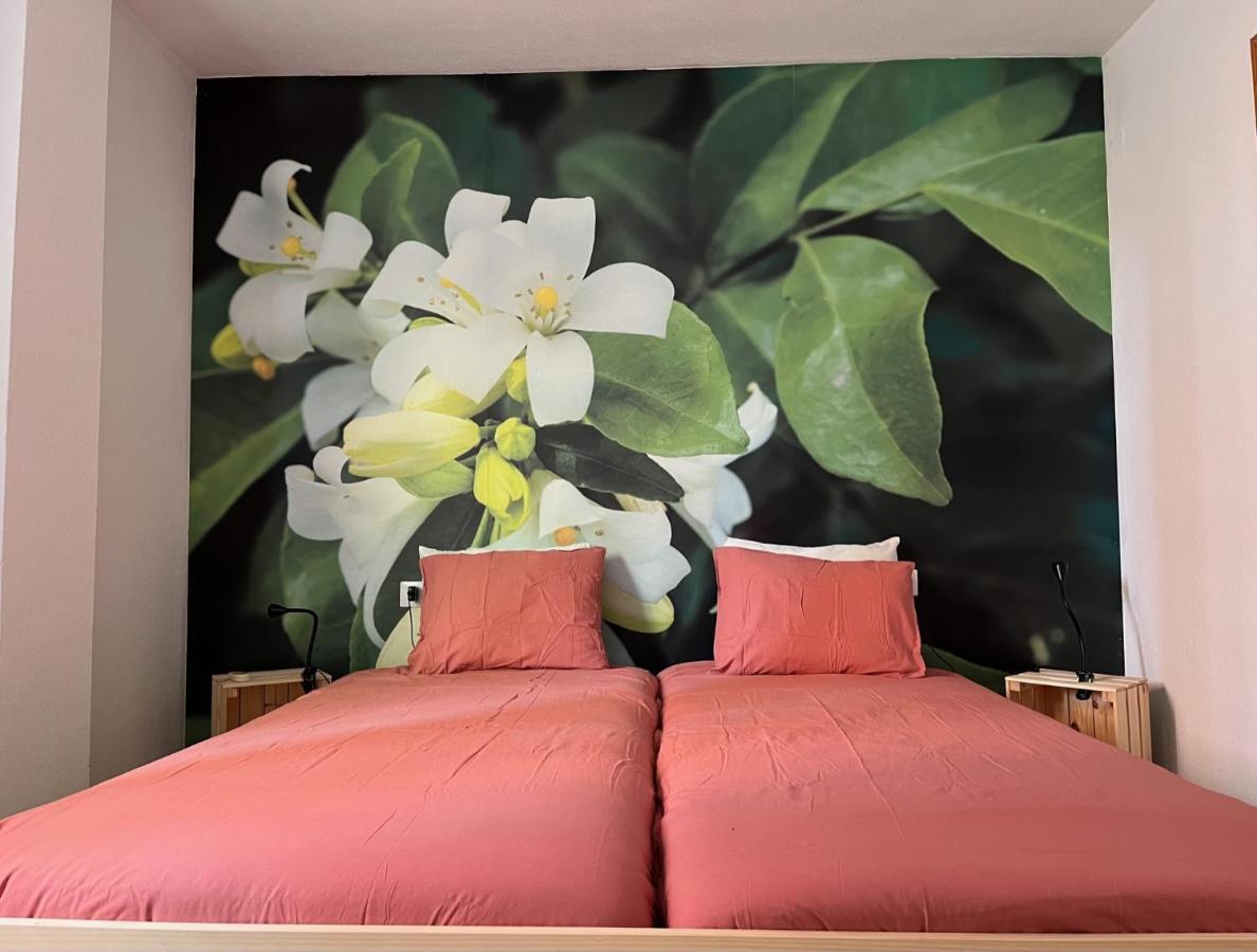 Apartamento La Biznaga Málaga Esterno foto